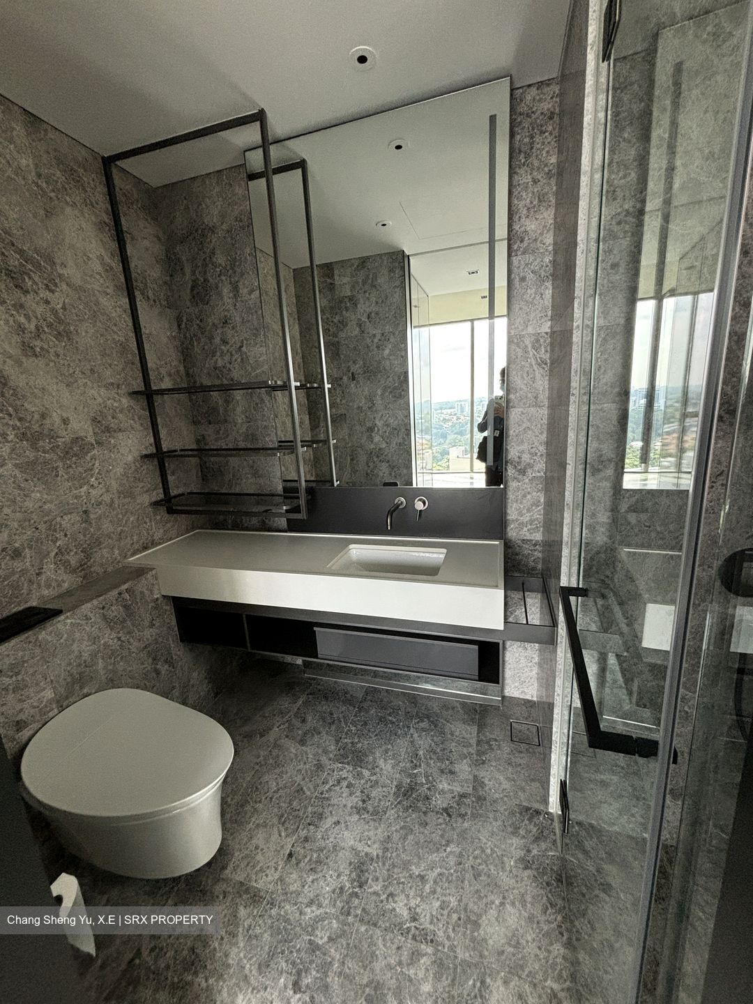 Cuscaden Reserve (D10), Condominium #433194821